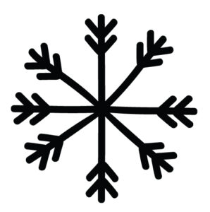 black snowflake